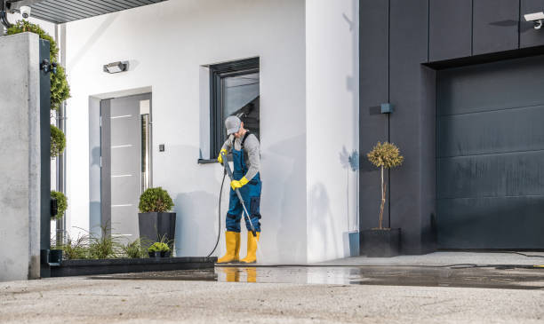 Best Roof Washing  in Sage, CA